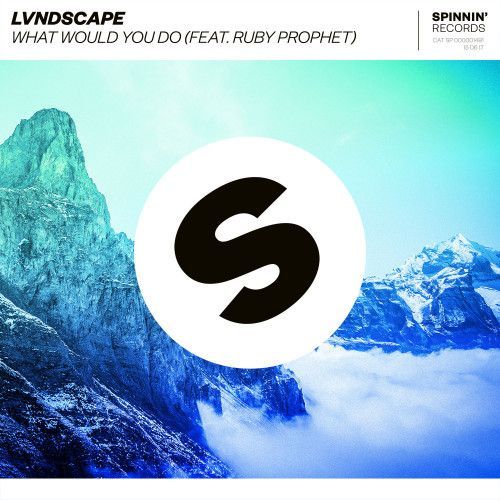 What Would You Do (feat. Ruby Prophet) What Would You Do (feat. Ruby Prophet)
